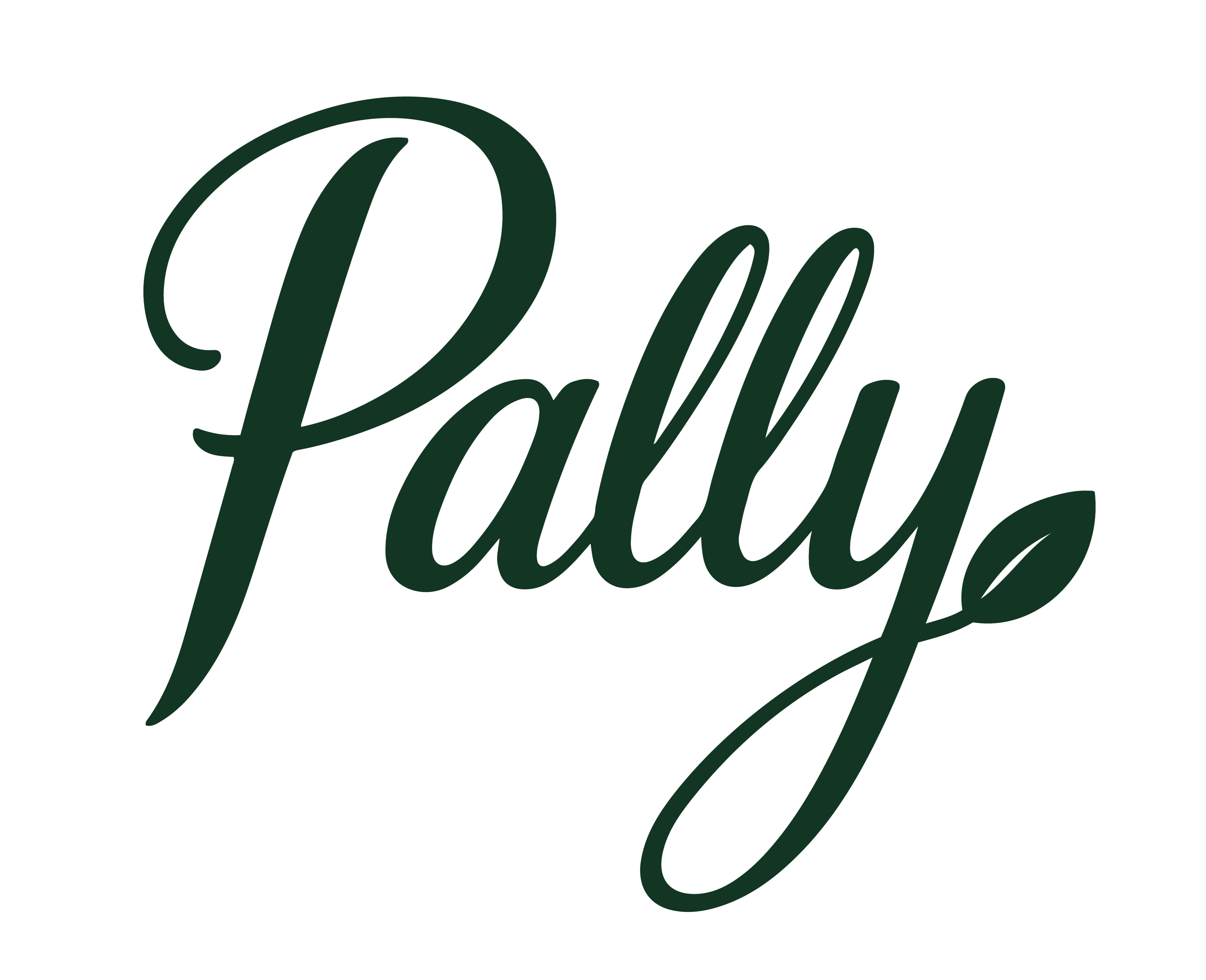 Daily Intimate wipes