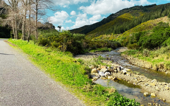 Pally New Zealand In Summer